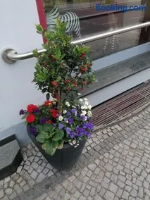 Hotel Gasthaus Bodetal - Image 3