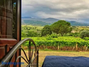 Suite in vigneto - Image 1
