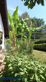 Villa Mary - Image 3