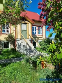 Nygjerdet Gossen - Image 1