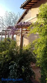 B&B Antegiano - Image 3
