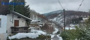 Sweety Home - Image 1