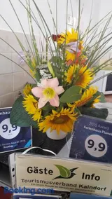 Ferienhaus Planetz - Image 5