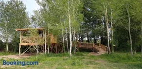 LA CABANE PERCHEE - Image 2