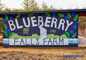 Blueberry Farm Cottage, Hot Tub, Creek, Game Room - Image 3