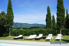Tenuta Bufalini - Vinci - Image 3