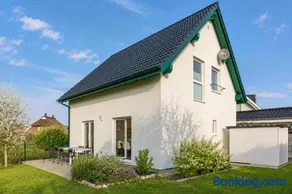 Strandhafer - Image 1