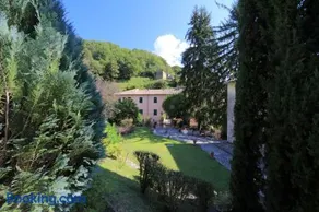 Il Gallo d' Oro - Oca - Image 1