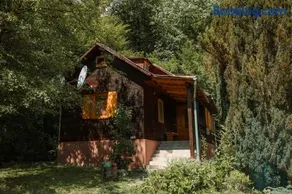 Cheerful Forest Cabin with Hot Tub! - Image 1