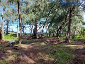 Ainaloa home of Big Island for Double size bedroom - Image 2