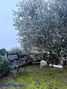 Il Rifugio dorato guest house - Image 3