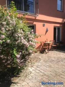 Moderne großzügige Souterrainwohnung Zarrentin Gallin Schaalsee Natur Wald Wasser - Image 1
