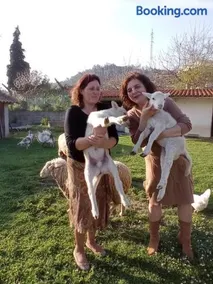 Quinta da Ribeirinha - Image 3