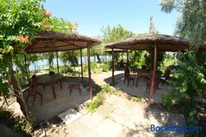 Complex Amazon - Image 3