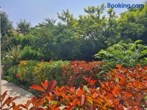 Appartement Alpes Maritimes - Image 2