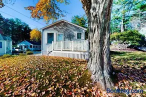 Eastwind Elegance - Image 1