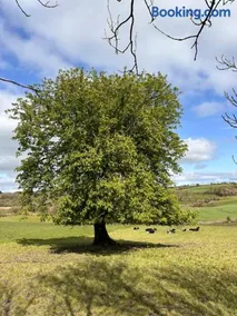 Chestnut View - Image 2