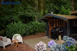 4P Modern Veluwe Chalet - Private Sauna BBQ & Airco - Putten - Image 4