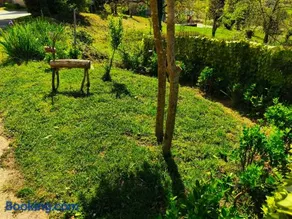 Casa Tone - Image 4