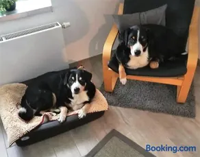 Ferienhaus Mia, Urlaub mit Hund, eingezäunter Garten, Friedrichskoog-Spitze - Image 3