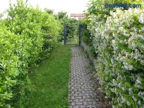 Appartamento Vacanze Magnolia e Glicine - Image 2