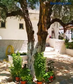 Billy's Amoudi Apartments - Image 4