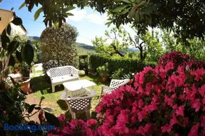 Alla Collina Del Sole - Image 2