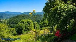 Panoramablick Bermersbach - Image 2