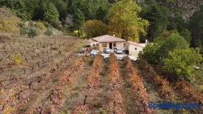 La Limonera - Image 1
