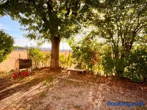 Gino House - Image 4