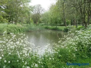 B&B Eindelinge - Image 3