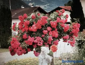 Haus Zudrell - Image 4