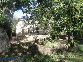 Finca la Colorá - Image 4