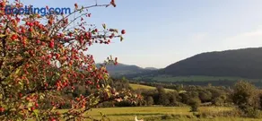 Agroturystyka Pod Złotą Wiechą - Image 3
