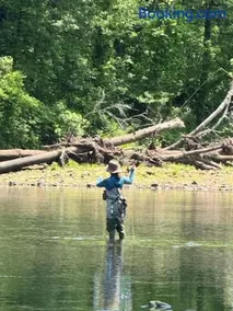 TROUT HAVEN Riverfront Oasis - Image 4