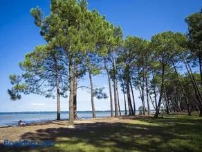 Maison familiale, 15 pers., jardin privé, proche centre et lac, à 25 min de l'océan - FR-1-319-472 - Image 2