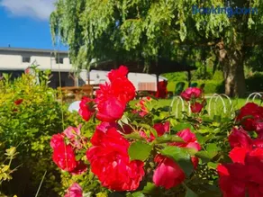 Landurlaub nahe Ostseebad Rerik - Image 1