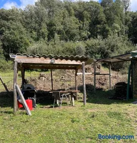 Cabane 2 - Image 2