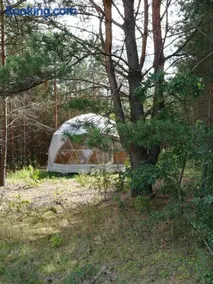 Glamping Drzwi Do Lasu - nocleg w Puszczy Knyszyńskiej - Image 2