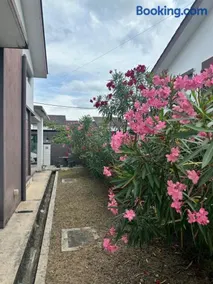Aisy Guest House -Homestay- - Image 2