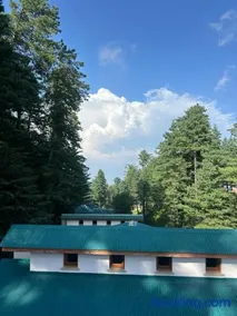 Woodford Ayubia - Image 4