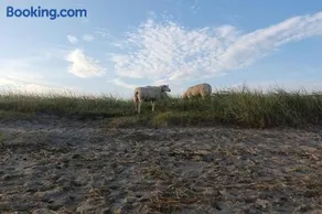 Erholung auf der Deichschäferei mit Deichblick - Image 1