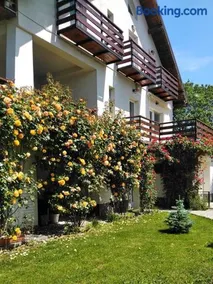VILA CARPATINA Bed&Breakfast - Image 1