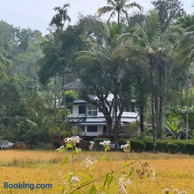 Quiet Canopy homestay - Image 3