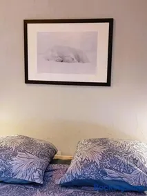 Le Rêve de l'Ours - Image 2