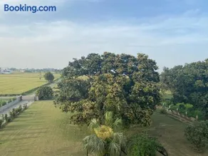 Mango Grove Farm - Image 2