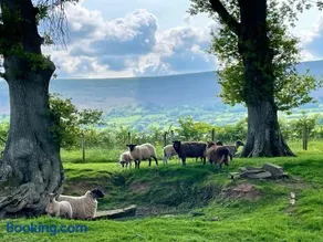 Spacious Cottage - Sleeps 4 - in the Black Mountains - Image 3