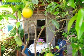 Apartamentos Buen Leon - Image 5