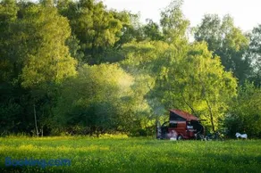 The Old Airfield Campsite - Image 2