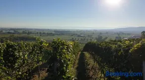 Villa Bonita del Kaiserstuhl - Image 3